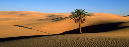 4 Days from Marrakech To Erg Chigaga Desert Tour